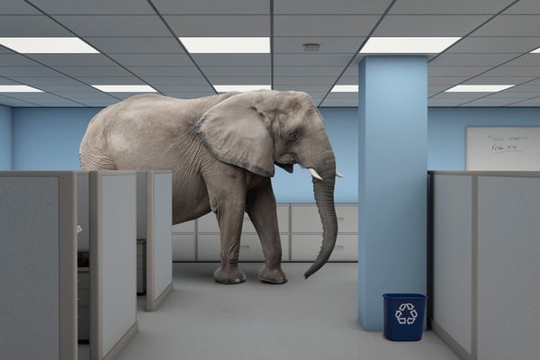 Elephant in the Room Situation